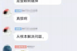 海南为什么选择专业追讨公司来处理您的债务纠纷？